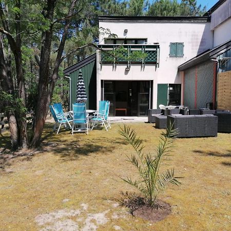 Superbe Appartement Dans La Pinede, Proche Ocean Lacanau Εξωτερικό φωτογραφία